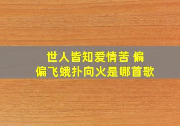 世人皆知爱情苦 偏偏飞蛾扑向火是哪首歌